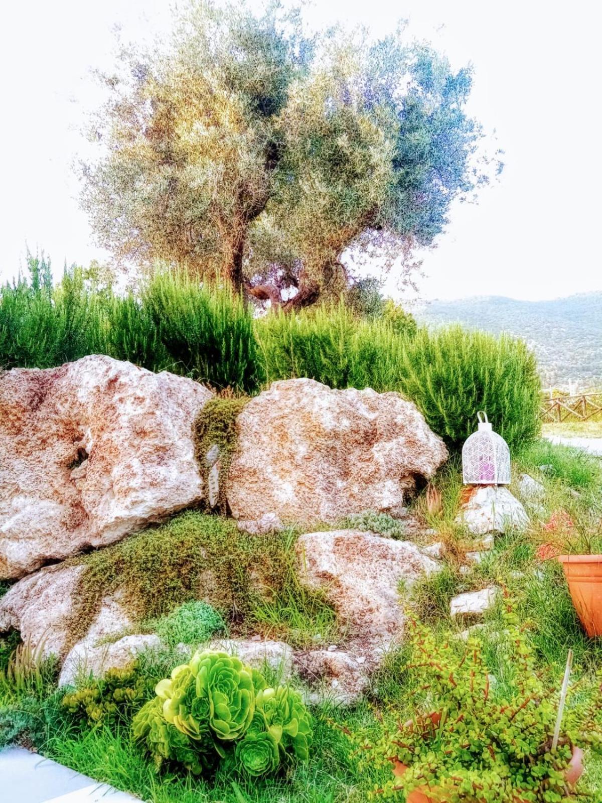 B&B Villa Giulia Capaccio Екстер'єр фото